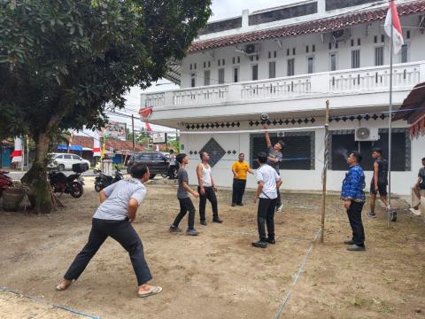 volly